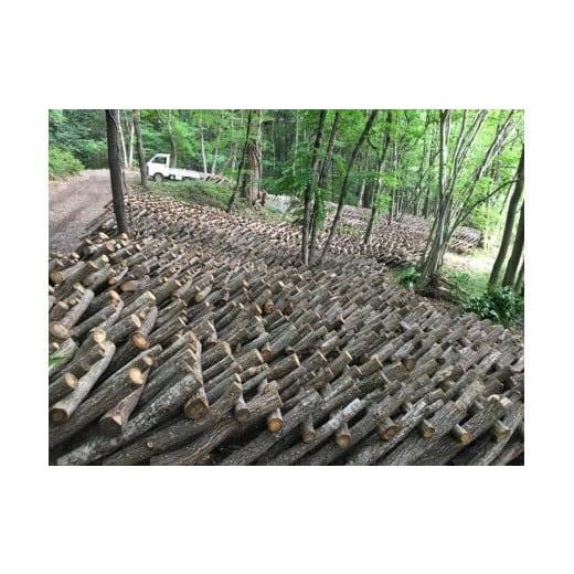 ふるさと納税 野菜類 きのこ 埼玉県 横瀬町 規格外・訳あり 特選原木しいたけ〜「日本農業賞」大賞受賞の農園〜 秩父 横瀬町 しいたけ 椎茸 シイタケ 原木し…_2