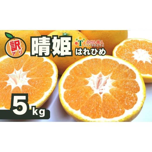 ふるさと納税 みかん・柑橘類 デコポン 愛媛県 愛南町 訳あり 晴姫 はれひめ 5kg みかん 蜜柑 柑橘 かんきつ 果物 くだもの ジュース 冬 旬 季節限定 期間限定…