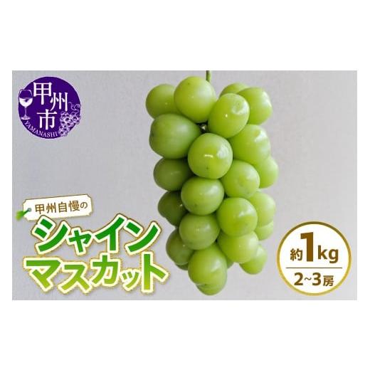 ふるさと納税 ぶどう マスカット 山梨県 甲州市 甲州自慢のシャインマスカット 約1kg(2〜3房入り) 2026年発送 (NK)A08-421 シャインマスカット 葡萄 ぶど…