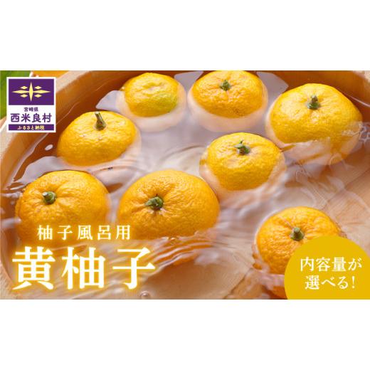 ふるさと納税 みかん・柑橘類 ゆず 宮崎県 西米良村 B級黄柚子1kg(ゆず風呂におすすめ)