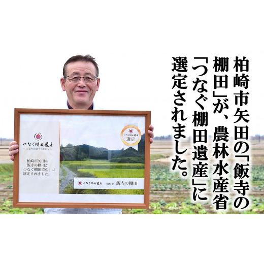 ふるさと納税 無洗米 新潟県 柏崎市  令和7年産米・3ヶ月定期便 コシヒカリ 無洗米 6kg（2kg×3袋）×3回（計 18kg）ヤタらうんめぇ お米 新潟県産 小分け 水…の画像