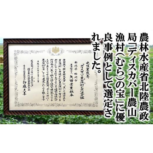 ふるさと納税 無洗米 新潟県 柏崎市  令和7年産米・3ヶ月定期便 コシヒカリ 無洗米 6kg（2kg×3袋）×3回（計 18kg）ヤタらうんめぇ お米 新潟県産 小分け 水…の画像