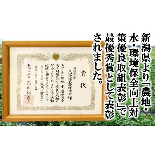 ふるさと納税 無洗米 新潟県 柏崎市  令和7年産米・3ヶ月定期便 コシヒカリ 無洗米 6kg（2kg×3袋）×3回（計 18kg）ヤタらうんめぇ お米 新潟県産 小分け 水…の画像