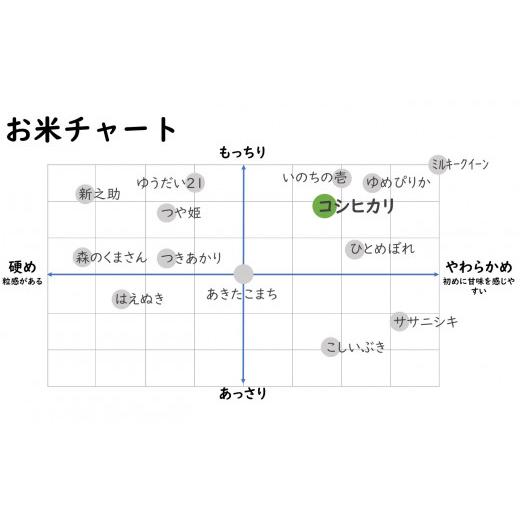ふるさと納税 無洗米 新潟県 柏崎市  令和7年産米・3ヶ月定期便 コシヒカリ 無洗米 6kg（2kg×3袋）×3回（計 18kg）ヤタらうんめぇ お米 新潟県産 小分け 水…の画像