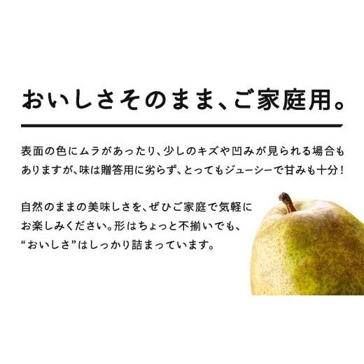 ふるさと納税 梨 山形県 山辺町 先行予約 ラ・フランス ご家庭用 約5kg(8~20個程度) 洋梨 2026年産 山形県産 沖縄・離島への配送不可 tf-lamxx5