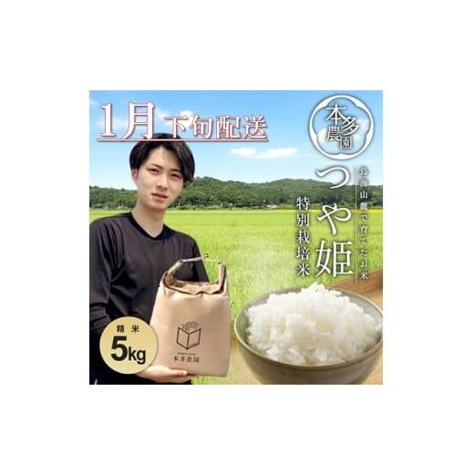 ふるさと納税 米 つや姫 山形県 酒田市 1月下旬配送/令和7年産 精米 特別栽培米 つや姫 5kg 農家直送 HO SB0797 令和8年1月下旬配送