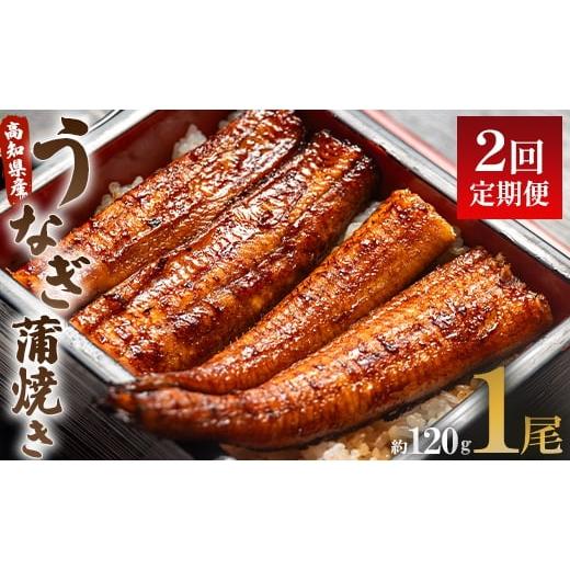 ふるさと納税 うなぎ 高知県 香南市 うなぎ 定期便 2回 うなぎ蒲焼き120g 1尾(無頭) 魚介 国産 海鮮 魚 かばやき 鰻 ウナギ 惣菜 おかず お手軽 加工品 加工食…