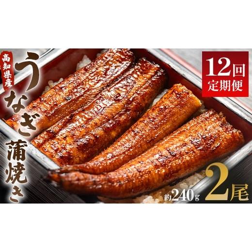 ふるさと納税 うなぎ 高知県 香南市 うなぎ 定期便 12回 うなぎ蒲焼き120g 2尾(無頭) 魚介 国産 海鮮 魚 かばやき 鰻 ウナギ 惣菜 おかず お手軽 加工品 加工…_1