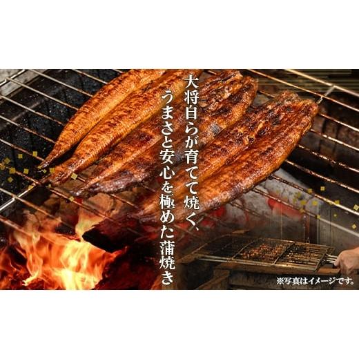 ふるさと納税 うなぎ 高知県 香南市 うなぎ 定期便 12回 うなぎ蒲焼き120g 2尾(無頭) 魚介 国産 海鮮 魚 かばやき 鰻 ウナギ 惣菜 おかず お手軽 加工品 加工…_2