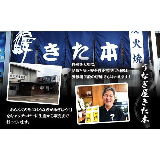 ふるさと納税 うなぎ 高知県 香南市 うなぎ 定期便 12回 うなぎ蒲焼き120g 2尾(無頭) 魚介 国産 海鮮 魚 かばやき 鰻 ウナギ 惣菜 おかず お手軽 加工品 加工…_4