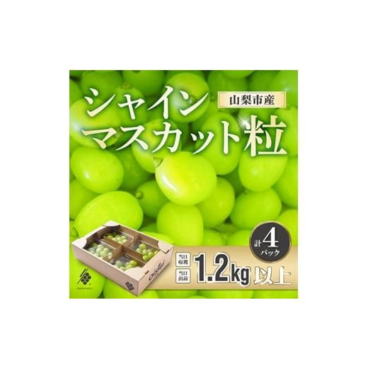 ふるさと納税 ぶどう マスカット 山梨県 山梨市 先行受付2026年発送