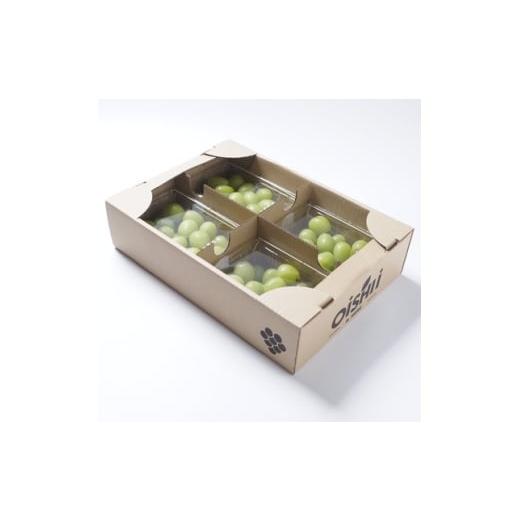 ふるさと納税 ぶどう マスカット 山梨県 山梨市 先行受付2026年発送