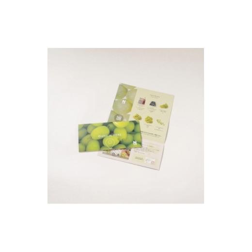 ふるさと納税 ぶどう マスカット 山梨県 山梨市 先行受付2026年発送