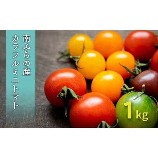 ふるさと納税 トマト ミニトマト 北海道 南富良野町 カラフル ミニトマト セット 1kg 北海道南富良野産 北海道 南富良野町 2026年発送 先行予約 トマト 詰合せ…