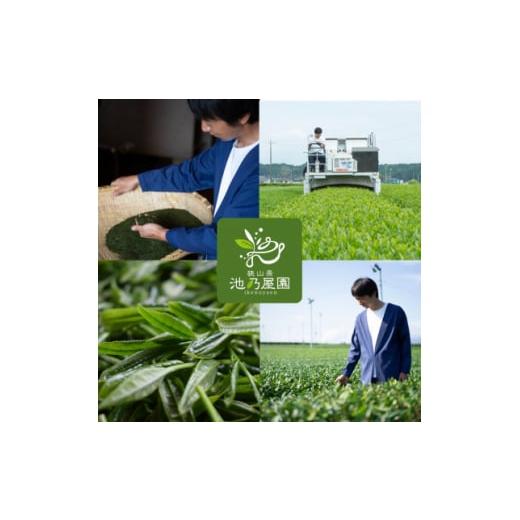 ふるさと納税 紅茶 飲料 埼玉県 入間市 狭山茶スパークリングティー「TEAGE(ティアージュ)」6本セット(玉露入り緑茶3本・苺和紅茶3本) 1535031_4