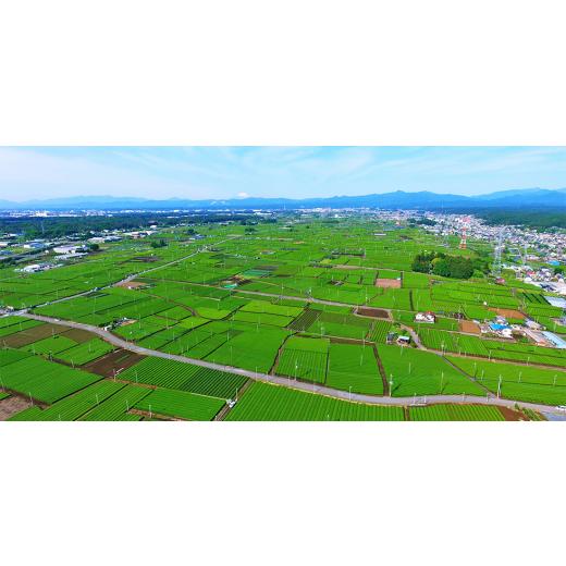 ふるさと納税 紅茶 飲料 埼玉県 入間市 狭山茶スパークリングティー「TEAGE(ティアージュ)」6本セット(玉露入り緑茶3本・苺和紅茶3本) 1535031_5