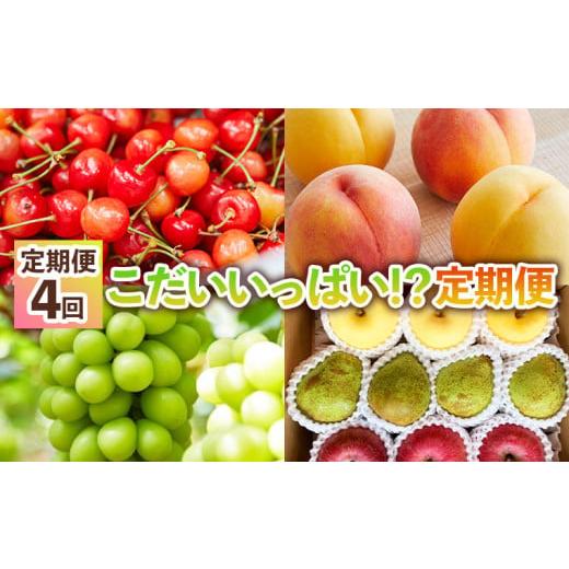 ふるさと納税 果物類 さくらんぼ 山形県 山形市 定期便4回 こだいいっぱい ? 定期便 令和8年産先行予約 FS25-652 くだもの 果物 フルーツ 山形 山形県 山形…