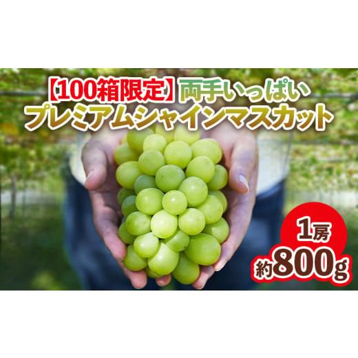 ふるさと納税 ぶどう マスカット 山形県 山形市 100箱限定 両手いっぱい 1房 800g プレミアム シャインマスカット 令和8年産先行予約 FS24-816 くだもの 果物…