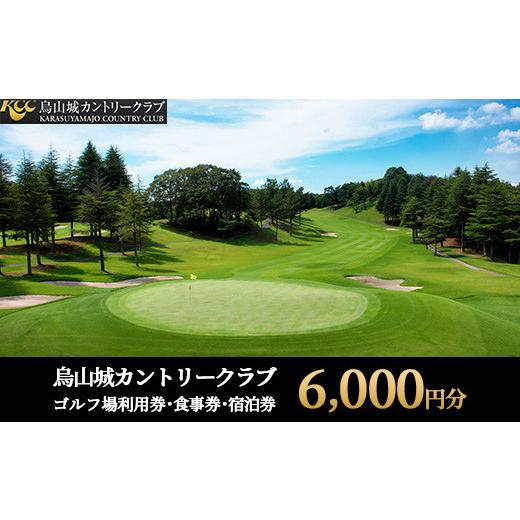 ふるさと納税 ゴルフ場利用券 栃木県 那須烏山市 20-11 烏山城カントリークラブ ゴルフ場利用券・食事券・宿泊券 6,000円分 （3,000円×2枚）_1