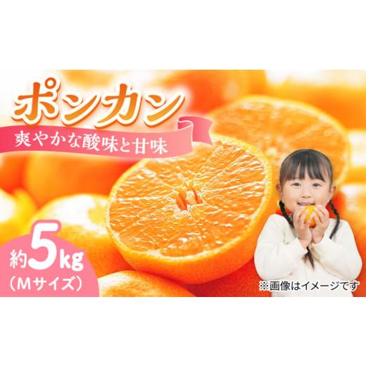 ふるさと納税 果物類 みかん 広島県 江田島市 フルーツ 果物 くだもの 冬の期間限定 プロが見極めた食べ頃だけを厳選 ポンカン 5kg 果物 蜜柑 柑橘 柑橘類 み…