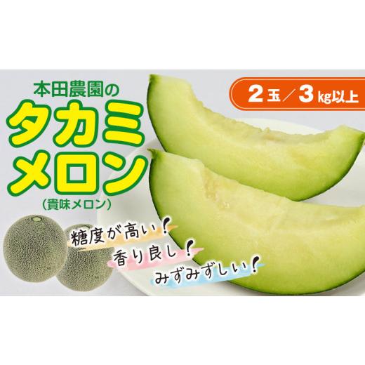 ふるさと納税 メロン メロン青肉 千葉県 富津市 タカミメロン2玉(3kg以上) 6月中旬〜7月中旬頃に発送 本田農園 メロン タカミメロン 貴味メロン 青肉 フ…