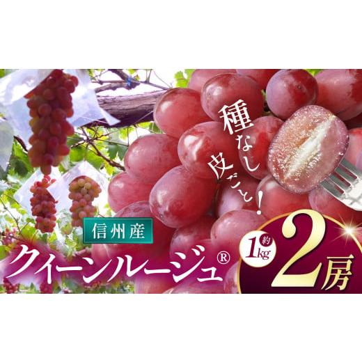 ふるさと納税 ぶどう 長野県 松本市 先行受付 信州産 クイーンルージュ?? 2房(約1kg)|ふるさと納税 松本市 ぶどう 葡萄 クイーンルージュ? 果物 フルーツ …