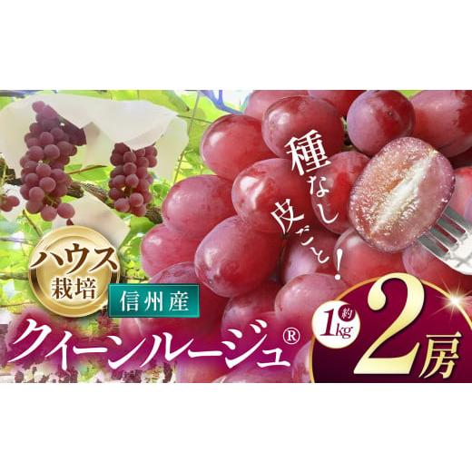 ふるさと納税 ぶどう 長野県 松本市 先行受付 信州産 クイーンルージュ??(ハウス栽培)2房(約1kg)|ふるさと納税 松本市 ぶどう 葡萄 クイーンルージュ? …
