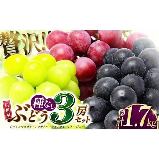 ふるさと納税 ぶどう 長野県 松本市 2026年発送 先行受付 信州産 シャインマスカット・ナガノパープル・クイーンルージュ?? 3房セット (約1.7kg)|ふるさ…