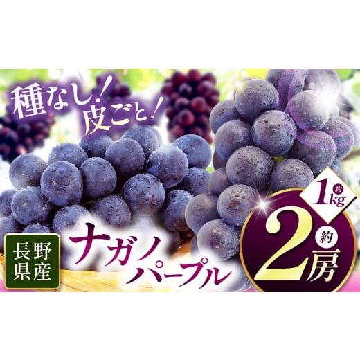 ふるさと納税 ぶどう 長野県 松本市 先行受付：2026年発送 信州産