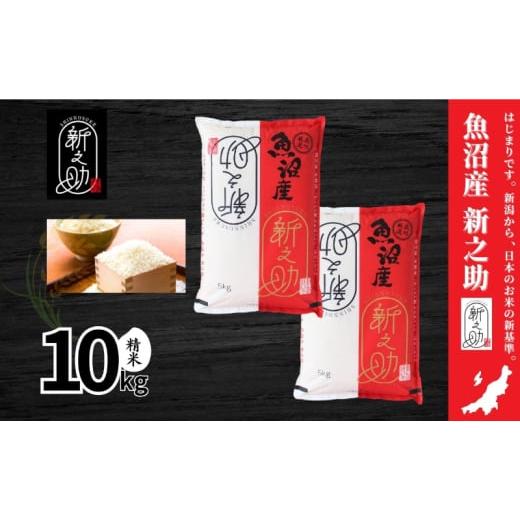 ふるさと納税 米 新潟県 十日町市 米 新之助 10kg 精米 白米 お米 新潟米新之助 新潟米 新潟 十日町市_1