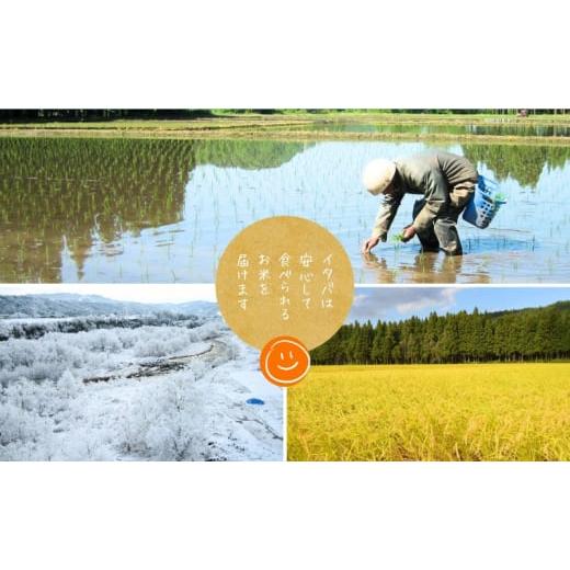 ふるさと納税 米 新潟県 十日町市 米 新之助 10kg 精米 白米 お米 新潟米新之助 新潟米 新潟 十日町市_2