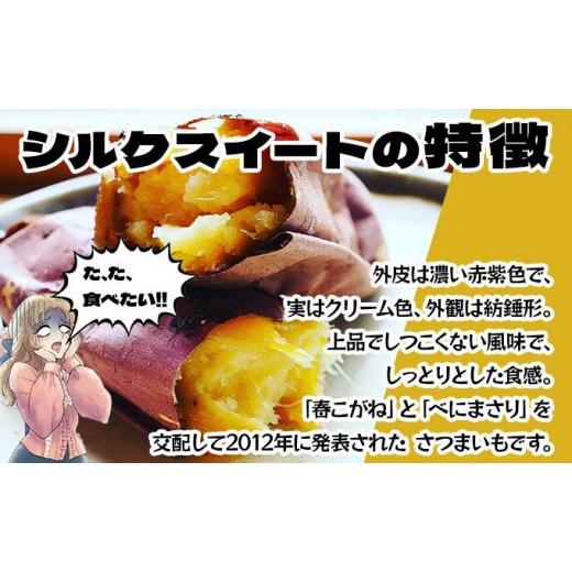 ふるさと納税 野菜類 サツマイモ 北海道 伊達市  5525-1151 北海道 伊達 さつまいも シルクスイート 10kg 熟成 高糖度 サツマイモ 芋 甘い スイートヤバ芋 産…の画像