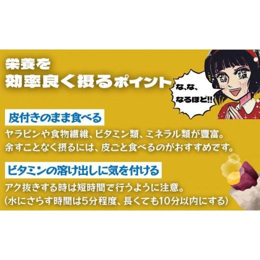 ふるさと納税 野菜類 サツマイモ 北海道 伊達市  5525-1151 北海道 伊達 さつまいも シルクスイート 10kg 熟成 高糖度 サツマイモ 芋 甘い スイートヤバ芋 産…の画像