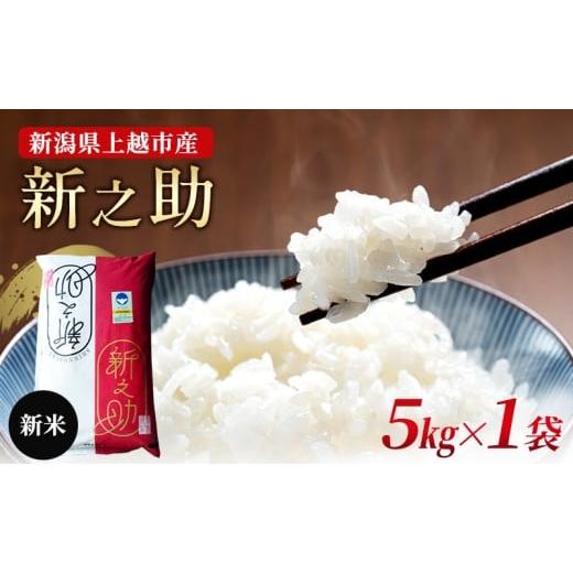 ふるさと納税 米 新潟県 上越市 10月中旬より順次出荷 新潟県上越市産 特別栽培米 新之助 令和7年産 5kg(5kg×1袋) ご飯 おにぎり 5kg