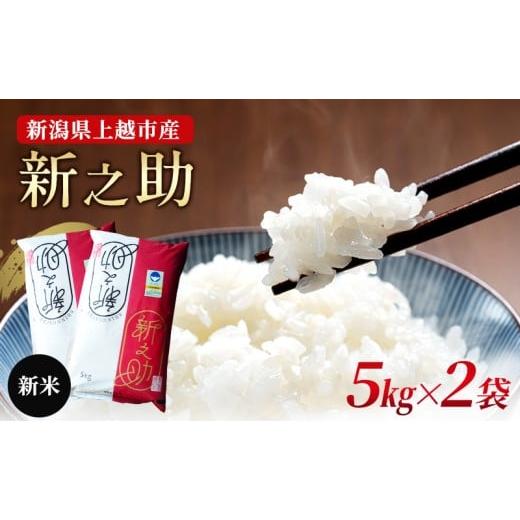 ふるさと納税 米 新潟県 上越市 10月中旬より順次出荷 新潟県上越市産 特別栽培米 新之助 令和7年産 10kg(5kg×2袋)ご飯 おにぎり 10kg
