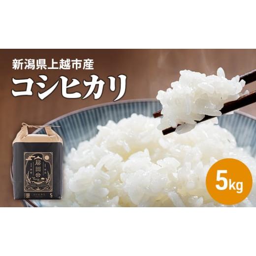 ふるさと納税 米 コシヒカリ 新潟県 上越市 新米 令和7年 上越市柿崎産 コシヒカリ 霊峰米山 お米のお山のふもとから 岸田米 コシヒカリ 白米5kg|こしひかり …