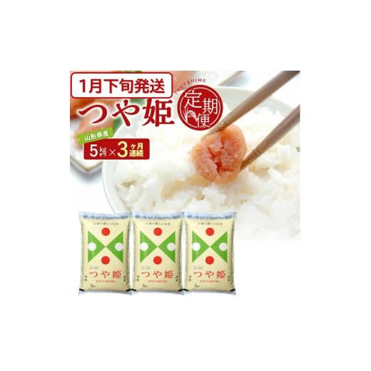 ふるさと納税 米 つや姫 山形県 酒田市 1月下旬発送開始/ 3回定期便 特別栽培米 つや姫 5kg×3ヶ月連続 計15kg 令和7年産 山形県産 精米 白米 庄内米 米 ごは…