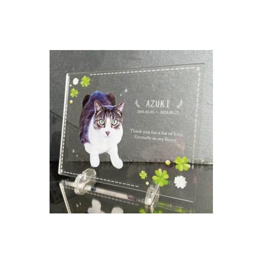 ふるさと納税 雑貨・日用品 写真 愛知県 稲沢市 ペットメモリアルフォトプレート クローバー クローバー