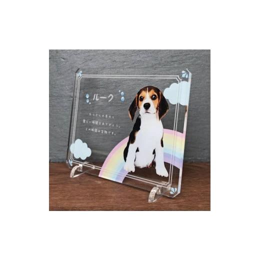 ふるさと納税 雑貨・日用品 写真 愛知県 稲沢市 ペットメモリアルフォトプレート 虹の橋 虹の橋