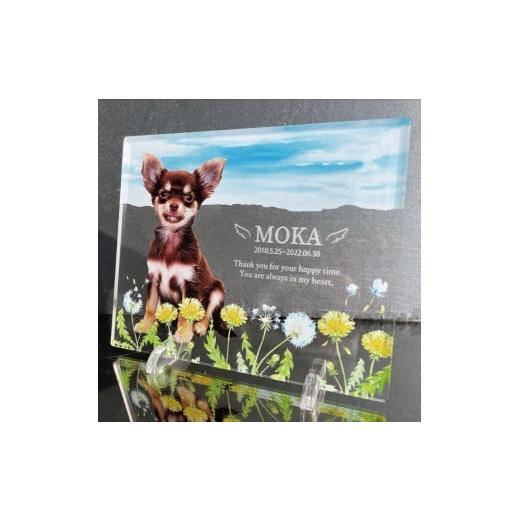 ふるさと納税 雑貨・日用品 写真 愛知県 稲沢市 ペットメモリアルフォトプレート たんぽぽ たんぽぽ