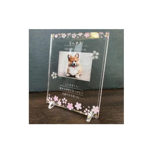 ふるさと納税 雑貨・日用品 写真 愛知県 稲沢市 ペット メモリアル フォトプレート 桜 桜
