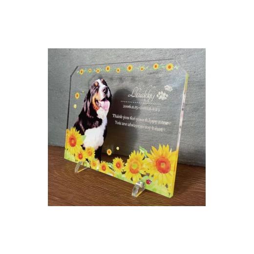 ふるさと納税 雑貨・日用品 写真 愛知県 稲沢市 ペットメモリアルフォトプレート ひまわりブーケ ひまわりブーケ