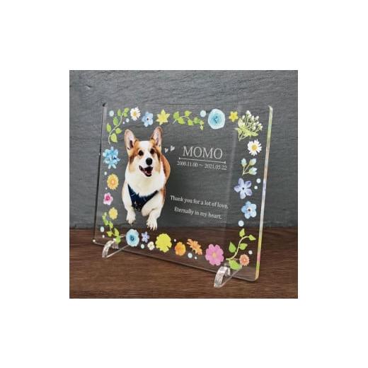 ふるさと納税 雑貨・日用品 写真 愛知県 稲沢市 ペットメモリアルフォトプレート フラワー フラワー