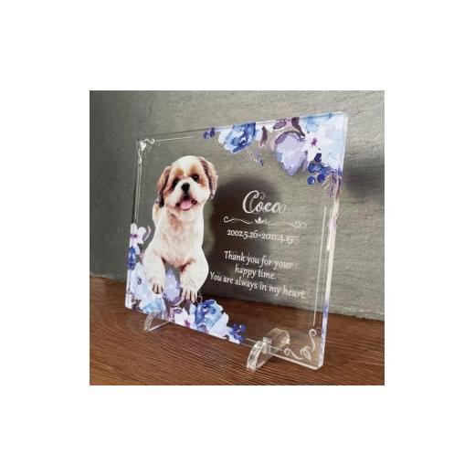 ふるさと納税 雑貨・日用品 写真 愛知県 稲沢市 ペットメモリアルフォトプレート ブルーヘブン ブルーヘブン