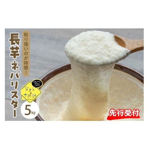 ふるさと納税 人参・大根・他根菜 北海道 芽室町 先行受付 2026年12月中旬より順次発送 北海道十勝芽室町 なまら十勝野の長芋ネバリスター 5kg me001-047c