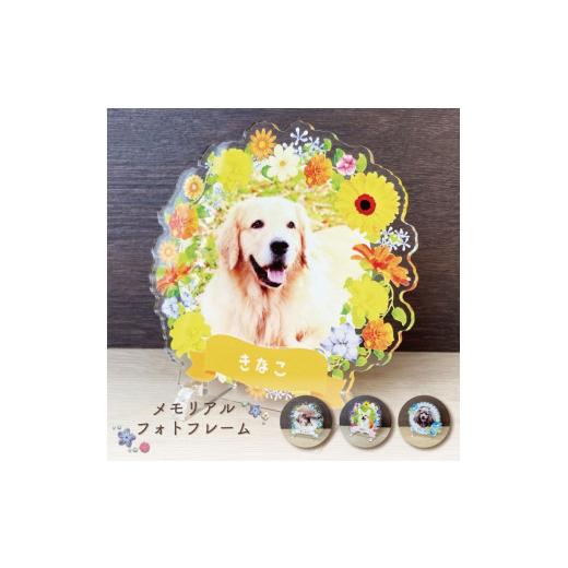 ふるさと納税 雑貨・日用品 写真 愛知県 稲沢市 メモリアルフォトフレーム〜フラワー〜 お花畑 お花畑