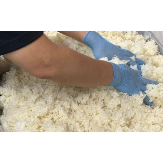 ふるさと納税 飲料類 島根県 松江市 甘酒 米?の甘酒550g×15本 島根県松江市／合同会社スギナリ醸造所 ALGY001 ｜甘酒 米麹 ノンアルコール 健康 発酵飲料 島…_5