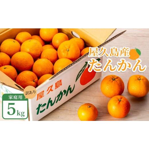 ふるさと納税 みかん・柑橘類 鹿児島県 屋久島町 2026年 屋久島産たんかん 家庭用 訳あり 約5kg(S〜2Lサイズ・少々キズあり) 先行予約/数量限定