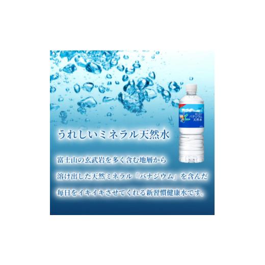ふるさと納税 水・ミネラルウォーター 500mL〜999mL 山梨県 山梨市  毎月定期便 バナジウム天然水600ml 24本入 アサヒ飲料全3回 防災 4060649の画像