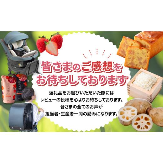 ふるさと納税 家具 本棚・ラック・カラーボックス 愛知県 愛西市  受注生産 木製 組み立てオープンラック 収納 収納家具 インテリア／サシヨシ工業株式会社 AE…の画像